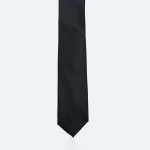 Textured Microfiber Mens Party Wear Neck Tie